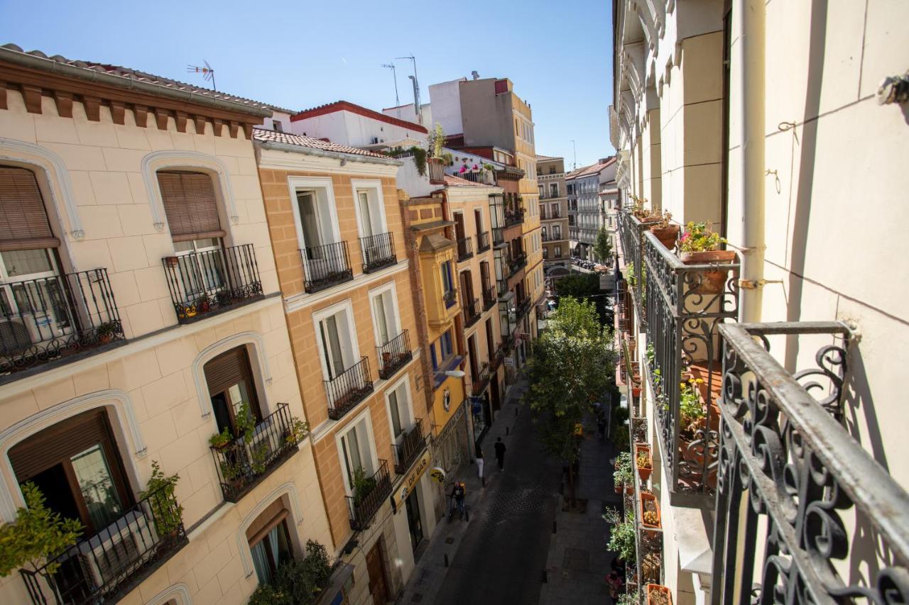 Das Leon, Madrid